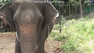 Blowjob as a punishment