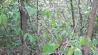 Risky lesbian masturbation in the forest