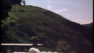 Randy cock sucking slut in FFM threeway gets fucked after BJ then gets creamed