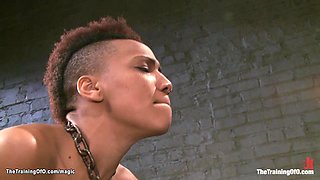 Ebony slave is sprinkled with water