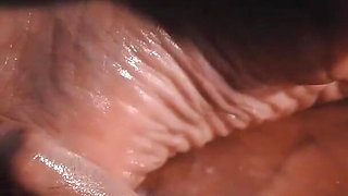 The feet lover 1