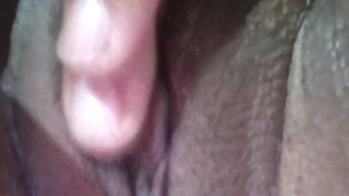 Delicious honeydew