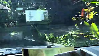 Gabbie Carter In Hawaii