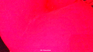 I Get Well Fucked, I Moan Like a Bitch. 100% Anal