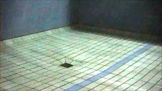 Blonde cumshot amateur MILF POV jerking in the kitchen