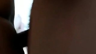 말 잘듣는 개목줄에 육덕 강아지