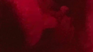 I'm Sucking My Friend's Husband's Whole Cock While She and Her Husband Watch Us Having Fun