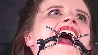 Insex - Az Live Feed