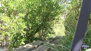 Here Rolls in the Perfect Brunette You Have Been Waiting for All This Time