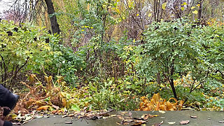 A Warm Fountain From My Stepmother's Pussy