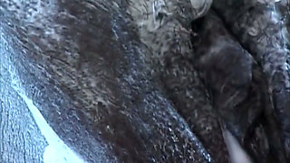 Shaved Ebony MILFs Share Every Hard Cock