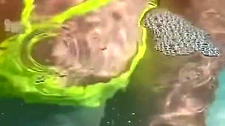 Artemisia Love Swimming in the Pool Flashing Her Big Juicy Boobs and Smoking a Cigarette