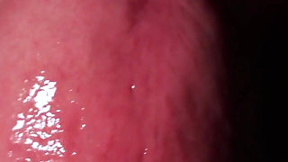 Goddess Anya Queen’s POV View Extreme Oral & Wet Asmr