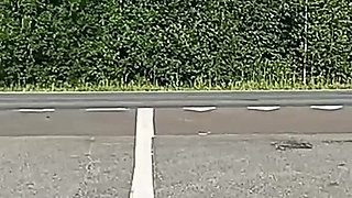 They Tease Drivers on the Highway