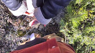 Sucked All Cum in Forest from Big Cock