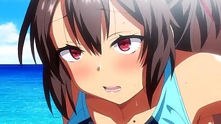 OVA Netsis Cell Version-02