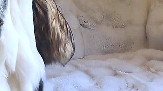 Playing and Teasing with a Lot of Fur! Masturbation in a Fur Coat
