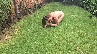 Well Trained Bitch Doing Tricks, Playing With A Stick As Well As Pissing With Her Leg Raised 6 Min