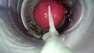 Amateur Big Cock Handjob Masturbation