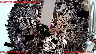 Watch Wild Mantraps Action