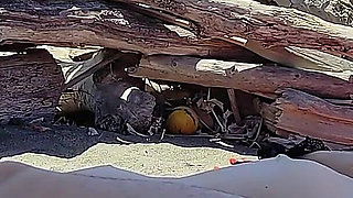 Risky Blowjob on the Canary Beach Caught with Intense Orgasm P2 - Misscreamy