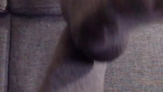 Slipping Into Grey Knit Pantyhose