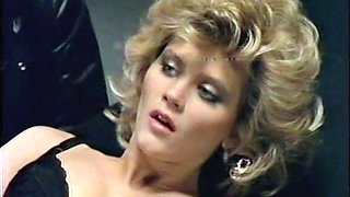 Whos Your Daddy Babe Hardcore Pornstar