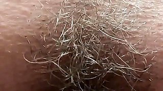 My Sweet Pussy
