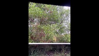 Risky Creampie. People Watch on as We Fuck in the Car