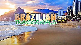 BRAZILIAN TRANSSEXUALS   10th Jan  25