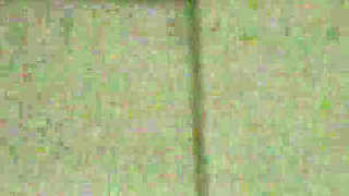 In 4 for a Sex to Be Discovered