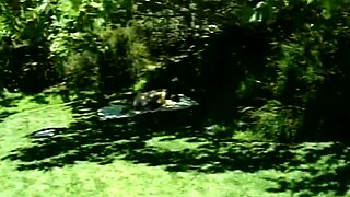 Busty Slut Gets A Facial After A Hot Outdoor Fuck