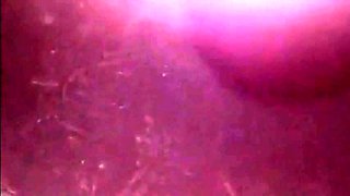 French Gay Outdoor Amateur Sex