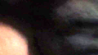 Shake That Ass Part 1