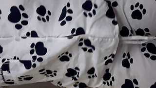 A Little Gift for You