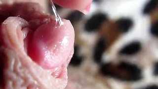 Cutieblonde's Huge Clit Closeup - Pulsating Pussy & Big Labia Play