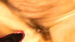 Plastic bird at blonde trailer