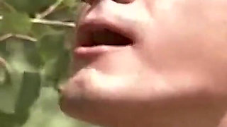 The Voyeur of the Forest