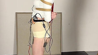 Limit Electric Shock and Voice-controlled Electric Shock Penalty Standing