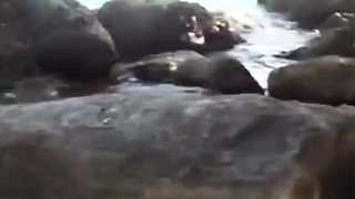 Amateur Couple's Beach Sex Tape