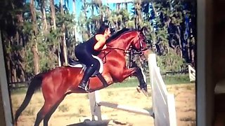 Rough Amateur Hussy With Large Tits: Big Tits, Bongacams  Solo Porn