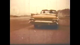 Vulgar Capricious Pig