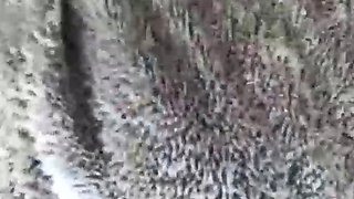 Big boobs milf masturbates with her dildo