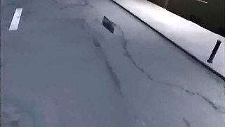 Milady's blowing policeman smut