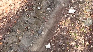 bella sin s envoie le chauffeur uber