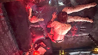 Lanista Bear and Me part 3