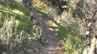 Huge facial after hardcore anal fuck with slutty French babe