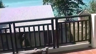 Amateur Couple's Beach Sex Tape