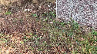 Piss Water, Walk to Garden