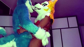 Fucking my short furry girlfriend on the couch